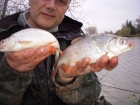 1lbs 8oz Roach from Quarry Pool. Brace of roach about 1 1/2lb each