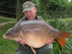 31lbs 6oz Mirror Carp from Rookley Country Park using carp company.. big scale