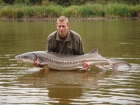 82lbs 6oz Sturgeon from Brittanymill