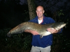 47lbs 0oz Catfish (Wels) from Sweet Chestnut Lake using SuperU Bien Vu.. Seer 13ft Power Float Rod, with Shimano Stradic 3000 Reel, loaded with 8lb line.
Waggler in 12ft deep corner of lake with