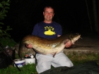 42lbs 0oz Catfish (Wels) from Sweet Chestnut Lake