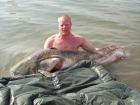 Andy Roberts 146lbs 0oz Catfish (Wels) from River Ebro. this was actually the biggest of our trip to the Ebro at 146lb there was no way i was getting this one right out of the water for the pic lol