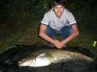 34lbs 0oz Catfish (Wels) from Sweet Chestnut Lake using Steamer Baits Livit MF Boilie 20mm.. Semi- fixed leger