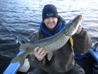 8lbs 3oz Pike from Private Loch using luce baits smelt.. Part of a 27 Pike haul in 2 days, And in My New 