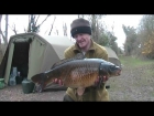 19lbs 0oz Common Carp from Private. Caught this Common on a Private Lake in Oxfordshire