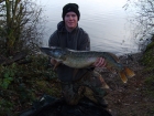 Brad Parkes 18lbs 0oz Pike from Local Gravel Pit using Dynamite.. Second of a brace of pike weighing 16lbs and 18lbs