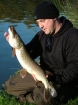 7lbs 0oz Pike from Trentham Gardens using Roach.