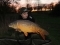 Just over 17lb Mirror wearing the BitG hoodie