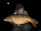 Cold weather 21lb Common, Happy days!