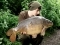 First 20 from the lake - 23.5lb!