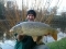 11lb 8oz Common Carp