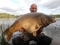 'Flappy', the 26lb 8oz Mirror and Slappy.