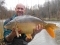 22lb Mirror.