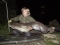63.8 lb catfish
