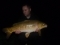 12lb