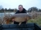 18lb 08oz