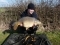 15lb
