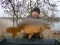 19lb 14oz