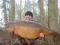 30lb 12oz (Duncs) side 2