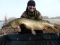 21lb Pike