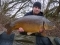 21lb 04oz