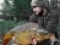 14lb 14oz caught using a CC Moore Norther special Pink, Korda Chod hook size 6, 25lb Mouth Trap chod rig.