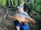 22lb 