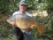 24lb 