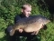 22lb, Linear