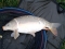 small but put up a good fight !