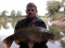 after 3 attemps to net, and screamed across the lake