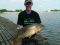 Probably about the best fish of the day