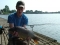 More average size Drayton fish