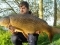 Richworth Linear Fisheries - Fishing Venue - Coarse / Carp in Stanton Harcourt (Oxfordshire, South East & London), England