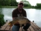 Another one - slighly smaller
