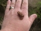 Cute little froggy - ahhh!