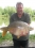 A fat 29lb 13oz