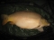 My new PB Carp 24lb 15oz