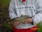 3lb Mirror