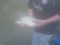 My first Bream