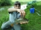 Nice perch