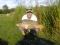 first fish of a 2 day session a lovely mirror