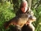 16.8lb Common on the ic1