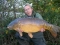 23lb mirror