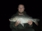 12lb 01oz