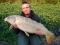 CHRIS SMITH, Essex Carp Baits Senior Field Tester