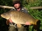 CHRIS SMITH, Essex Carp Baits Senior Field Tester