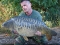 CHRIS SMITH, Essex Carp Baits Senior Field Tester