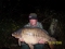 CHRIS SMITH, Essex Carp Baits Senior Field Tester