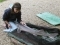Essex Carp Baits Junior Field Tester Phoebe Stuart